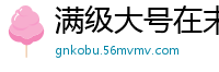 满级大号在末世岩石块